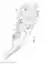 Fig. 02 - Cutting apparatus