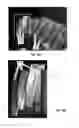 Fig. 09 - Aircraft engine rotor repaired with microstructural enhancement