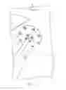 Fig. 12 - Savonius wind turbines