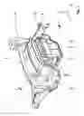 Fig. 02 - Unit mount, in particular for a motor vehicle