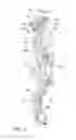 Fig. 03 - Damper device
