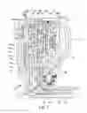 Fig. 02 - Centrifugal pendulum absorber for a torque converter