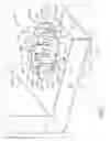 Fig. 07 - Float drain