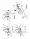 Fig. 07 - Firearm