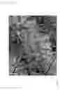 Fig. 21 - Camouflage pattern scheme for camouflage patterns on objects