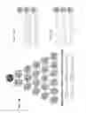 Fig. 22 - Digital holographic microscope