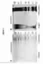 Fig. 08 - Aerosol collection system and method