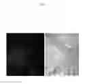 Fig. 03 - Counterstains for a biological sample