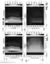 Fig. 08 - Characterizing petroleum product contamination using fluorescence signal