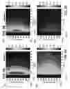 Fig. 09 - Characterizing petroleum product contamination using fluorescence signal