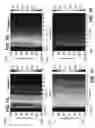 Fig. 10 - Characterizing petroleum product contamination using fluorescence signal