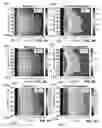 Fig. 11 - Characterizing petroleum product contamination using fluorescence signal