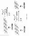 Fig. 04 - COMPOUNDS AND METHODS FOR ANALYSIS AND SYNTHESIS OF SACCHARIDE COMPOUNDS, AND METHOD FOR QUANTITATING SACCHARIDE
