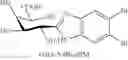 Fig. 103 - COMPOUNDS AND METHODS FOR ANALYSIS AND SYNTHESIS OF SACCHARIDE COMPOUNDS, AND METHOD FOR QUANTITATING SACCHARIDE