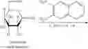 Fig. 116 - COMPOUNDS AND METHODS FOR ANALYSIS AND SYNTHESIS OF SACCHARIDE COMPOUNDS, AND METHOD FOR QUANTITATING SACCHARIDE