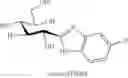 Fig. 13 - COMPOUNDS AND METHODS FOR ANALYSIS AND SYNTHESIS OF SACCHARIDE COMPOUNDS, AND METHOD FOR QUANTITATING SACCHARIDE