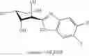 Fig. 29 - COMPOUNDS AND METHODS FOR ANALYSIS AND SYNTHESIS OF SACCHARIDE COMPOUNDS, AND METHOD FOR QUANTITATING SACCHARIDE
