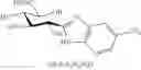 Fig. 57 - COMPOUNDS AND METHODS FOR ANALYSIS AND SYNTHESIS OF SACCHARIDE COMPOUNDS, AND METHOD FOR QUANTITATING SACCHARIDE