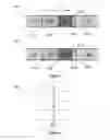 Fig. 03 - Differential scanning calorimetry method and apparatus