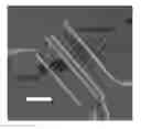 Fig. 01 - 2H/1T phase contact engineering for high performance transition metal dichalcogenide chemical vapor sensors
