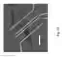 Fig. 05 - 2H/1T phase contact engineering for high performance transition metal dichalcogenide chemical vapor sensors