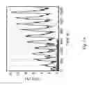 Fig. 10 - 2H/1T phase contact engineering for high performance transition metal dichalcogenide chemical vapor sensors