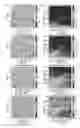 Fig. 07 - Ultrasonic-based system for detection of metallic security threats containers on cargo