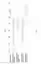 Fig. 04 - Cannabis cultivation test