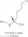 Fig. 67 - PEPTIDOMIMETIC MACROCYCLES