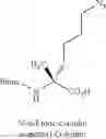 Fig. 69 - PEPTIDOMIMETIC MACROCYCLES