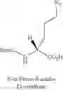 Fig. 71 - PEPTIDOMIMETIC MACROCYCLES