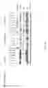Fig. 04 - Methods of evaluating patients using E-cadherin or vimentin