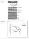 Fig. 09 - Methods of evaluating patients using E-cadherin or vimentin