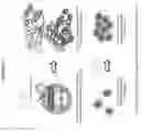Fig. 14 - MTOR kinase mutations and methods of use thereof