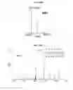 Fig. 23 - PHOSPHORYLATION OF HISTONES AND USES THEREOF