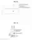 Fig. 32 - PHOSPHORYLATION OF HISTONES AND USES THEREOF