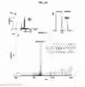 Fig. 41 - PHOSPHORYLATION OF HISTONES AND USES THEREOF