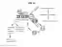 Fig. 51 - PHOSPHORYLATION OF HISTONES AND USES THEREOF