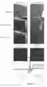 Fig. 09 - Ratiometric and multiplexed sensors from single chirality carbon nanotubes