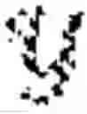Fig. 04 - Method of removing ghost artifacts from magnetic resonance image, and magnetic resonance apparatus therefor