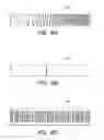 Fig. 11 - TRANSMISSIVE IMAGING AND RELATED APPARATUS AND METHODS