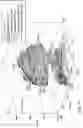 Fig. 07 - Data-driven estimation of stimulated reservoir volume