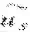Fig. 02 - PRESTACK EGS MIGRATION METHOD FOR SEISMIC WAVE MULTI-COMPONENT DATA
