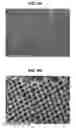 Fig. 14 - Optical body, display device, and method for manufacturing optical body
