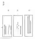 Fig. 06 - Microscope and Method for SPIM Microscopy