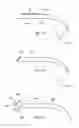 Fig. 46 - Near-to-eye display device
