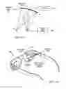 Fig. 59 - Near-to-eye display device