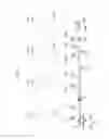 Fig. 04 - Optical deflector, and optical scanning device and image forming apparatus equipped with same