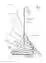 Fig. 01 - Device with a rotatable display