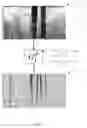 Fig. 06 - Method, apparatus, and system to identify branches of a blood vessel